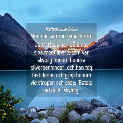 Picture 04 - Matteus 18:28 SV1917 - Men när samme tjänare kom ut, träffade han på - Bible Verse Picture