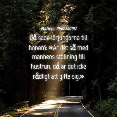Picture 04 - Matteus 19:10 SV1917 - Då sade lärjungarna till honom: »Är det så - Bible Verse Picture