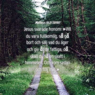 Picture 04 - Matteus 19:21 SV1917 - Jesus svarade honom: »Vill du vara fullkomlig, - Bible Verse Picture