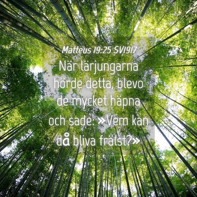 Picture 04 - Matteus 19:25 SV1917 - När lärjungarna hörde detta, blevo de mycket - Bible Verse Picture
