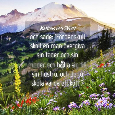 Picture 04 - Matteus 19:5 SV1917 - och sade: 'Fördenskull skall en man övergiva - Bible Verse Picture