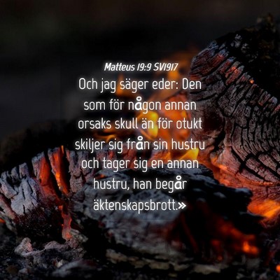 Picture 04 - Matteus 19:9 SV1917 - Och jag säger eder: Den som för någon annan - Bible Verse Picture