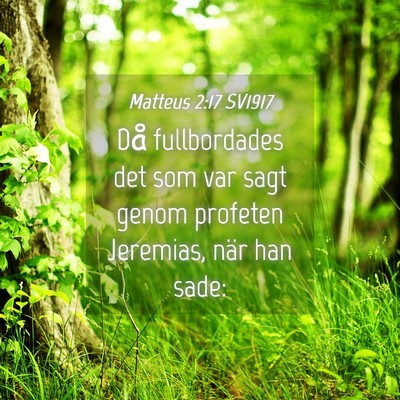 Picture 04 - Matteus 2:17 SV1917 - Då fullbordades det som var sagt genom profeten - Bible Verse Picture