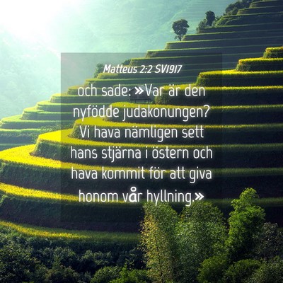 Picture 04 - Matteus 2:2 SV1917 - och sade: »Var är den nyfödde judakonungen? Vi - Bible Verse Picture