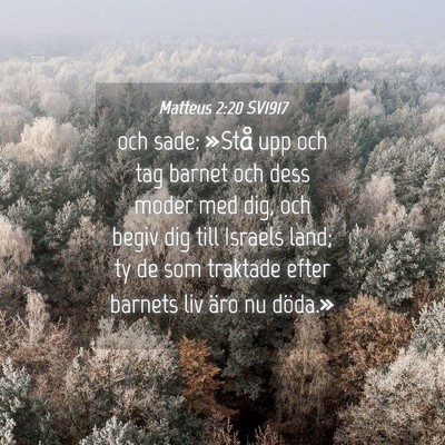 Picture 04 - Matteus 2:20 SV1917 - och sade: »Stå upp och tag barnet och dess - Bible Verse Picture