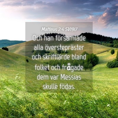 Picture 04 - Matteus 2:4 SV1917 - Och han församlade alla överstepräster och - Bible Verse Picture