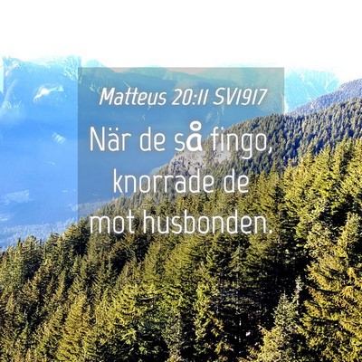 Picture 04 - Matteus 20:11 SV1917 - När de så fingo, knorrade de mot - Bible Verse Picture