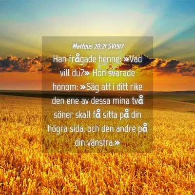 Picture 04 - Matteus 20:21 SV1917 - Han frågade henne: »Vad vill du?» Hon svarade - Bible Verse Picture