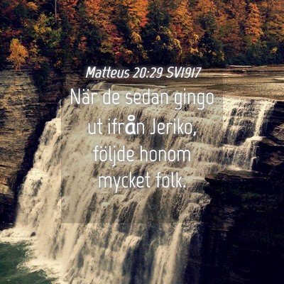 Picture 04 - Matteus 20:29 SV1917 - När de sedan gingo ut ifrån Jeriko, följde - Bible Verse Picture