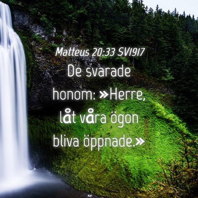 Picture 04 - Matteus 20:33 SV1917 - De svarade honom: »Herre, låt våra ögon bliva - Bible Verse Picture