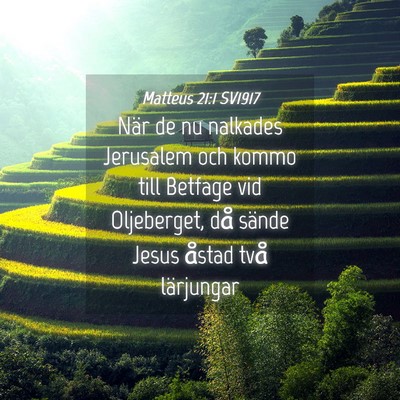 Picture 04 - Matteus 21:1 SV1917 - När de nu nalkades Jerusalem och kommo till - Bible Verse Picture