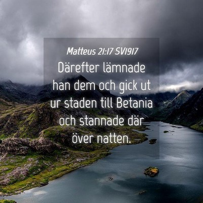 Picture 04 - Matteus 21:17 SV1917 - Därefter lämnade han dem och gick ut ur staden - Bible Verse Picture