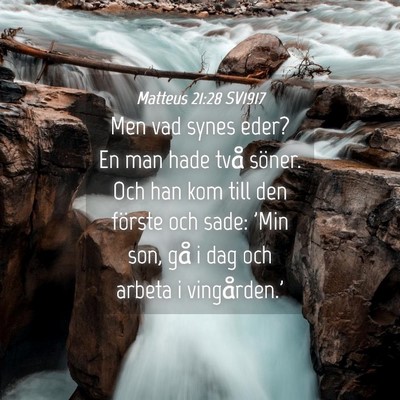 Picture 04 - Matteus 21:28 SV1917 - Men vad synes eder? En man hade två söner. Och - Bible Verse Picture