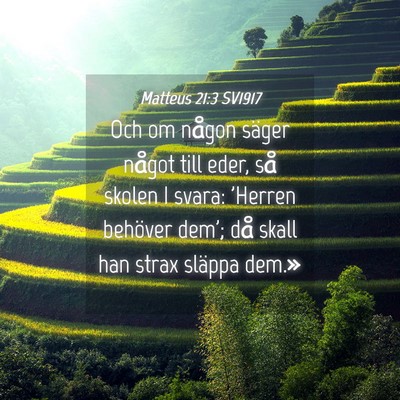 Picture 04 - Matteus 21:3 SV1917 - Och om någon säger något till eder, så skolen - Bible Verse Picture