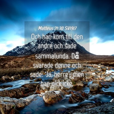 Picture 04 - Matteus 21:30 SV1917 - Och han kom till den andre och sade sammalunda. - Bible Verse Picture