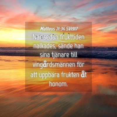Picture 04 - Matteus 21:34 SV1917 - När sedan frukttiden nalkades, sände han sina - Bible Verse Picture