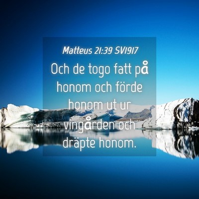 Picture 04 - Matteus 21:39 SV1917 - Och de togo fatt på honom och förde honom ut ur - Bible Verse Picture