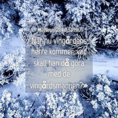 Picture 04 - Matteus 21:40 SV1917 - När nu vingårdens herre kommer, vad skall han - Bible Verse Picture