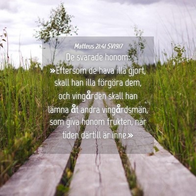 Picture 04 - Matteus 21:41 SV1917 - De svarade honom: »Eftersom de hava illa gjort, - Bible Verse Picture