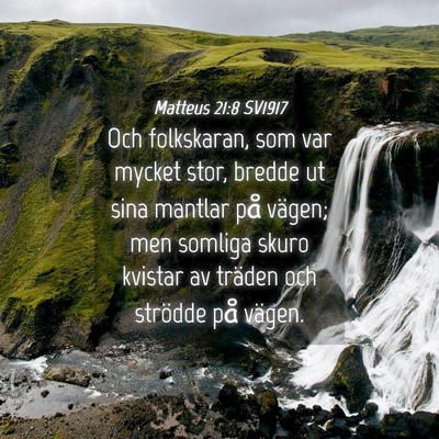 Picture 04 - Matteus 21:8 SV1917 - Och folkskaran, som var mycket stor, bredde ut - Bible Verse Picture