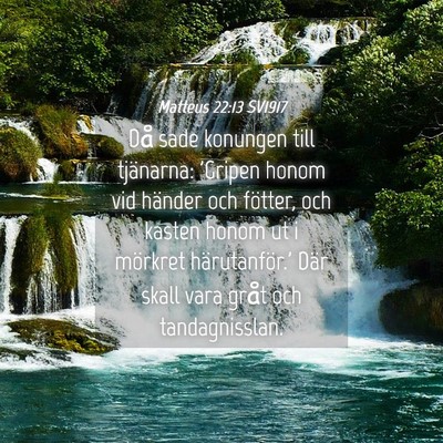 Picture 04 - Matteus 22:13 SV1917 - Då sade konungen till tjänarna: 'Gripen honom - Bible Verse Picture