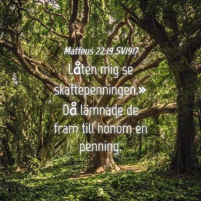 Picture 04 - Matteus 22:19 SV1917 - Låten mig se skattepenningen.» Då lämnade de - Bible Verse Picture