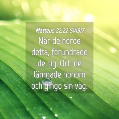 Picture 04 - Matteus 22:22 SV1917 - När de hörde detta, förundrade de sig. Och de - Bible Verse Picture