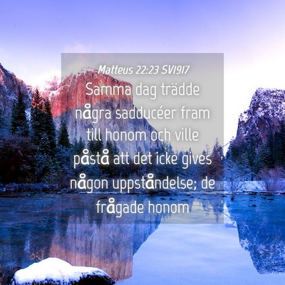 Picture 04 - Matteus 22:23 SV1917 - Samma dag trädde några sadducéer fram till - Bible Verse Picture