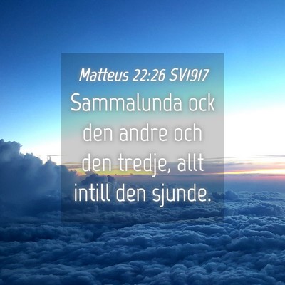 Picture 04 - Matteus 22:26 SV1917 - Sammalunda ock den andre och den tredje, allt - Bible Verse Picture