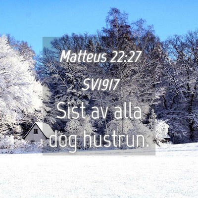 Picture 04 - Matteus 22:27 SV1917 - Sist av alla dog - Bible Verse Picture