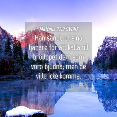 Picture 04 - Matteus 22:3 SV1917 - Han sände ut sina tjänare för att kalla till - Bible Verse Picture