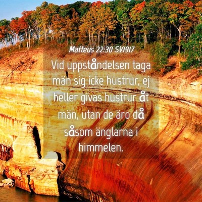 Picture 04 - Matteus 22:30 SV1917 - Vid uppståndelsen taga män sig icke hustrur, ej - Bible Verse Picture