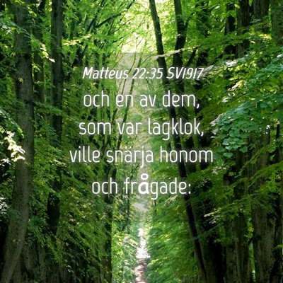 Picture 04 - Matteus 22:35 SV1917 - och en av dem, som var lagklok, ville snärja - Bible Verse Picture