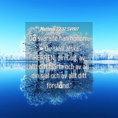 Picture 04 - Matteus 22:37 SV1917 - Då svarade han honom: »'Du skall älska HERREN, - Bible Verse Picture