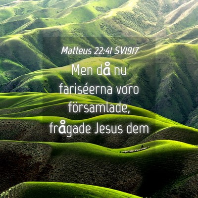 Picture 04 - Matteus 22:41 SV1917 - Men då nu fariséerna voro församlade, frågade - Bible Verse Picture
