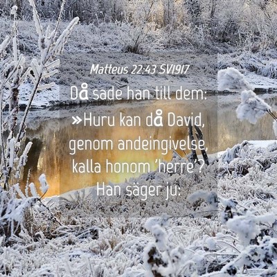 Picture 04 - Matteus 22:43 SV1917 - Då sade han till dem: »Huru kan då David, - Bible Verse Picture