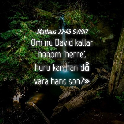 Picture 04 - Matteus 22:45 SV1917 - Om nu David kallar honom 'herre', huru kan han - Bible Verse Picture