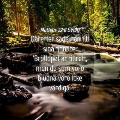 Picture 04 - Matteus 22:8 SV1917 - Därefter sade han till sina tjänare: - Bible Verse Picture