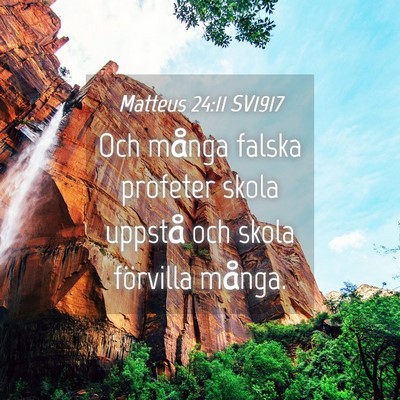 Picture 04 - Matteus 24:11 SV1917 - Och många falska profeter skola uppstå och - Bible Verse Picture