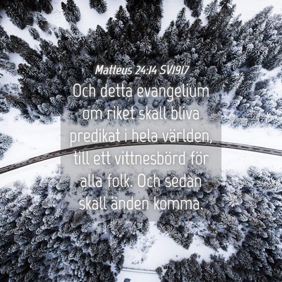 Picture 04 - Matteus 24:14 SV1917 - Och detta evangelium om riket skall bliva - Bible Verse Picture