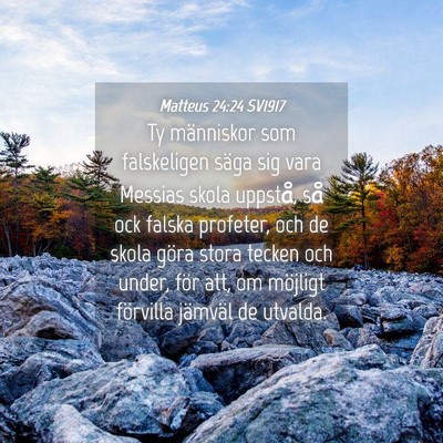 Picture 04 - Matteus 24:24 SV1917 - Ty människor som falskeligen säga sig vara - Bible Verse Picture
