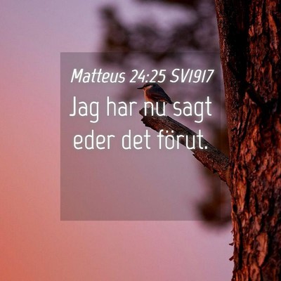 Picture 04 - Matteus 24:25 SV1917 - Jag har nu sagt eder det - Bible Verse Picture
