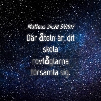 Picture 04 - Matteus 24:28 SV1917 - Där åteln är, dit skola rovfåglarna församla - Bible Verse Picture