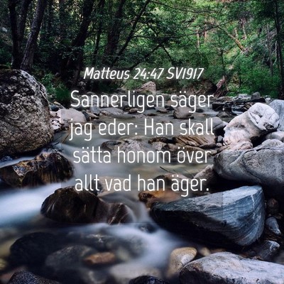 Picture 04 - Matteus 24:47 SV1917 - Sannerligen säger jag eder: Han skall sätta - Bible Verse Picture