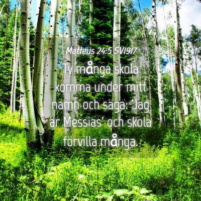 Picture 04 - Matteus 24:5 SV1917 - Ty många skola komma under mitt namn och säga: - Bible Verse Picture