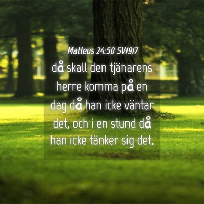 Picture 04 - Matteus 24:50 SV1917 - då skall den tjänarens herre komma på en dag - Bible Verse Picture