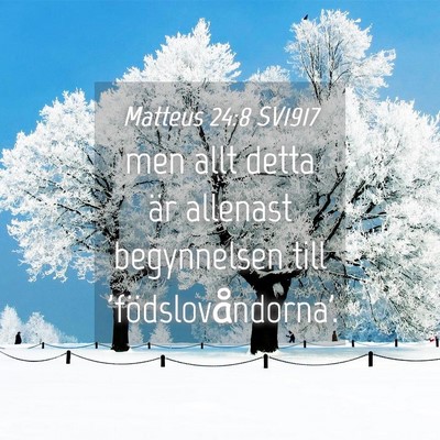 Picture 04 - Matteus 24:8 SV1917 - men allt detta är allenast begynnelsen till - Bible Verse Picture