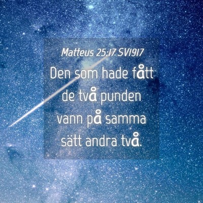 Picture 04 - Matteus 25:17 SV1917 - Den som hade fått de två punden vann på samma - Bible Verse Picture