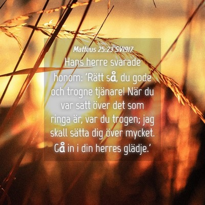 Picture 04 - Matteus 25:23 SV1917 - Hans herre svarade honom: 'Rätt så, du gode och - Bible Verse Picture