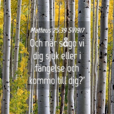 Picture 04 - Matteus 25:39 SV1917 - Och när sågo vi dig sjuk eller i fängelse och - Bible Verse Picture